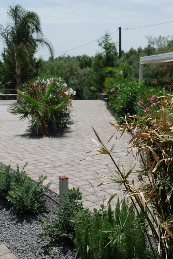 מלון פאטרנו Etna Hills Scalilli מראה חיצוני תמונה
